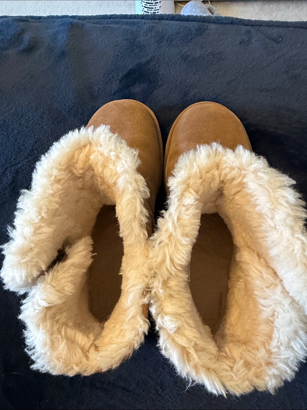 UGG Short Suede Boot with Shearling Cuff in Chestnut - Picture 6 of 6